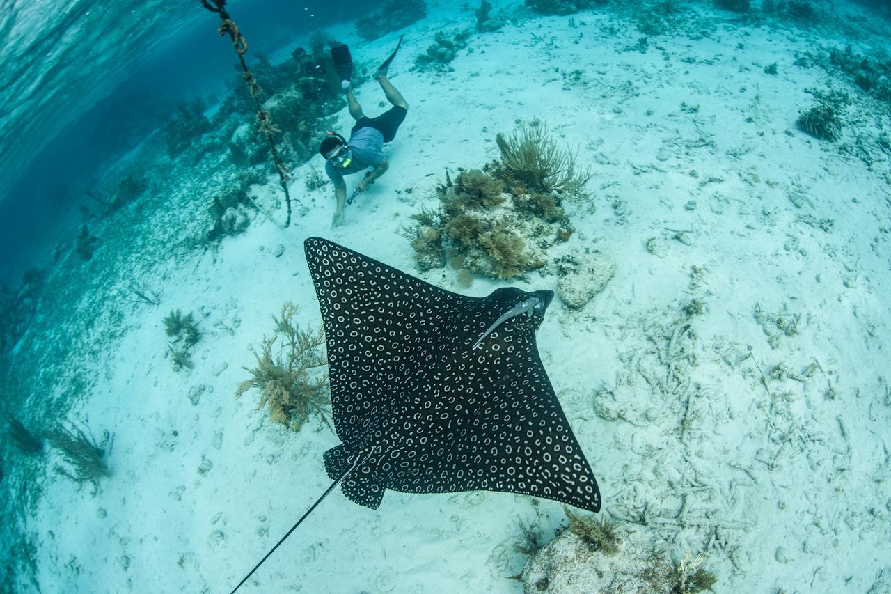 Turneffe Island Resort Turneffe Atoll Dış mekan fotoğraf